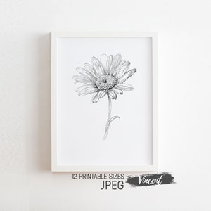 Abstrakte Gänseblümchen-Blumen-Skizze Art druckbare JPEG, minimalistische Schwarzweiß-Pflanzen-Kunst-Dekor, Vintage Botanischer Garten Blumen-Zeichnung-Drucke
