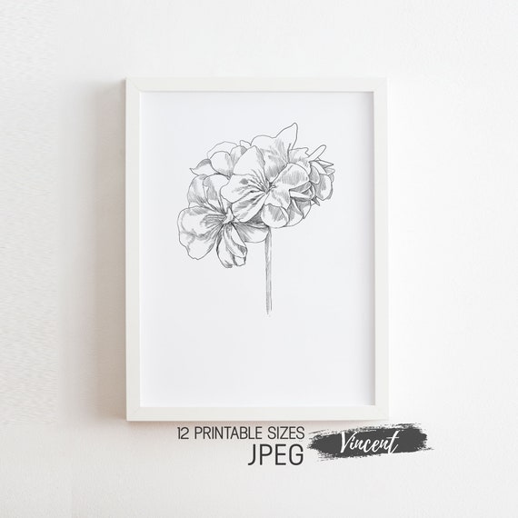 Flor de geranio Dibujo abstracto antiguo Imprimible JPEG - Etsy España Flor de geranio Dibujo abstracto antiguo Imprimible JPEG - Etsy España