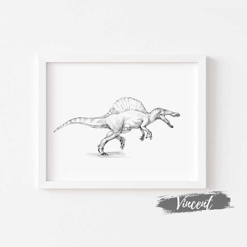 May include: Black and white line drawing of a Spinosaurus dinosaur in a white frame. The dinosaur is depicted running with its mouth open.