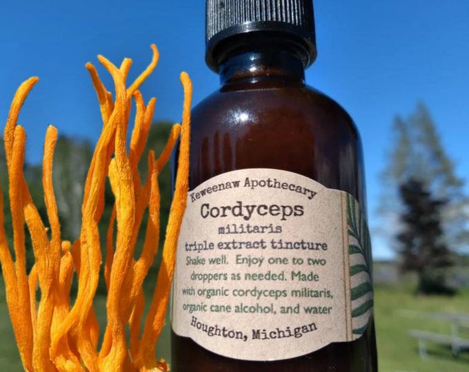 Cordyceps Tincture 2oz
