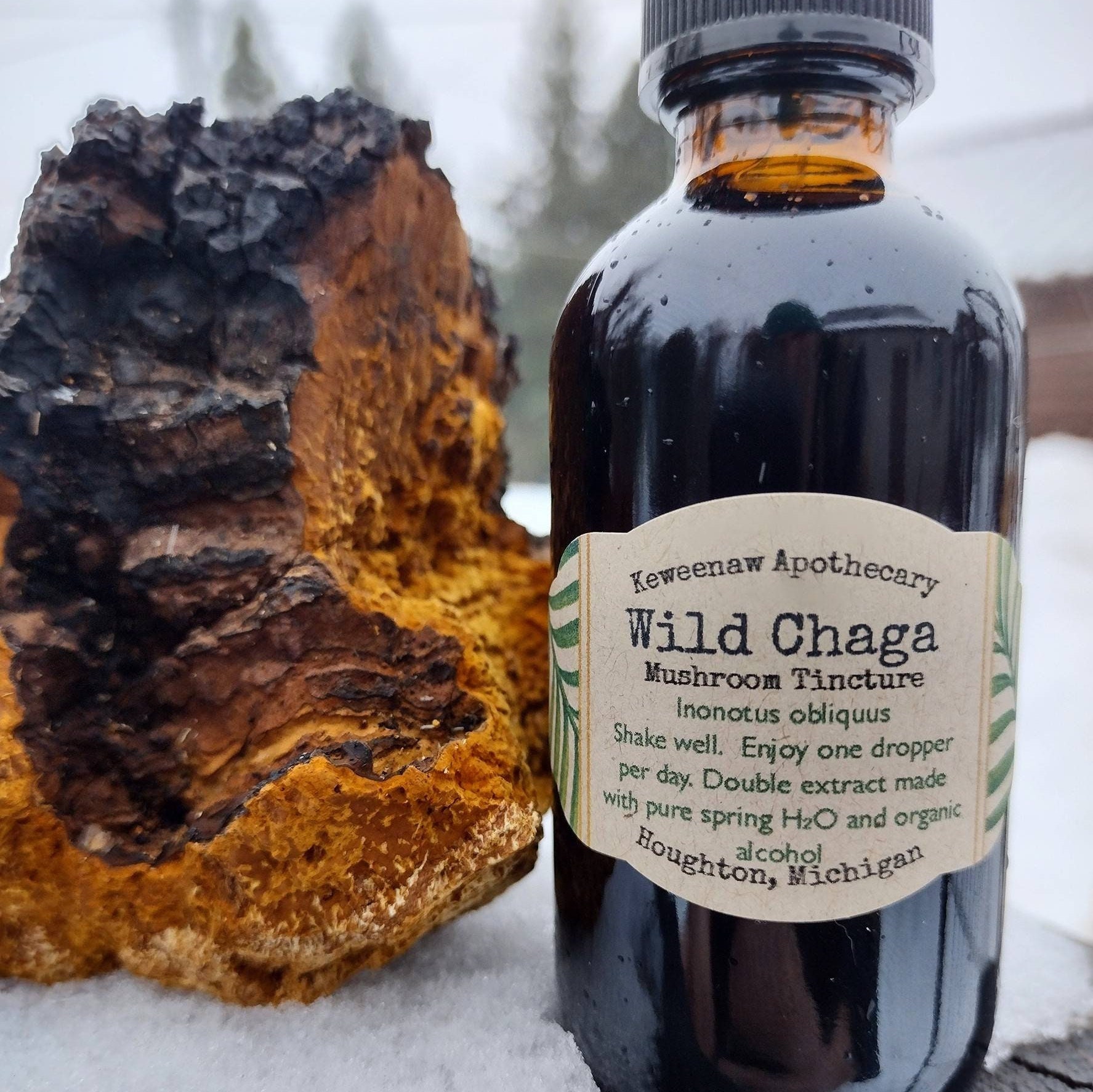 Mushroom Apothecary: Unlocking the Power of Nature