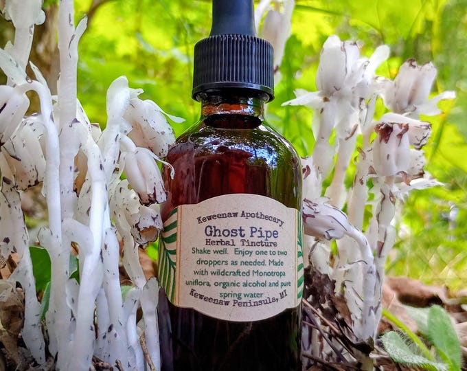 Ghost Pipe Tincture 2 oz - SUSTAINABLY SOURCED
