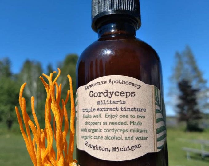 Cordyceps Tincture 2oz