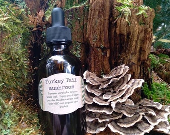 Turkey Tail Mushroom Tincture 2oz