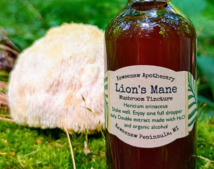 Lion's Mane Tincture 2oz