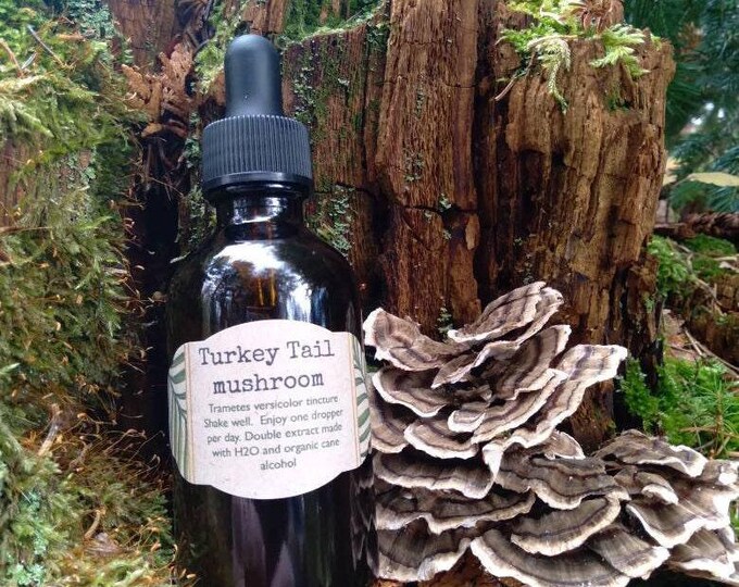 Turkey Tail Mushroom Tincture, 2oz