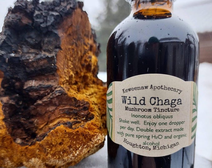 Chaga 2oz Tincture