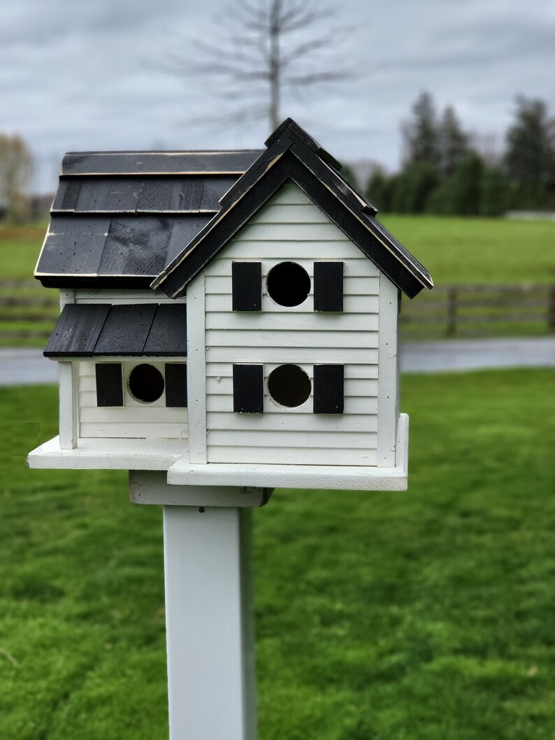 May include: A white birdhouse with a black roof and black accents. The birdhouse has two nesting compartments with round openings and is mounted on a white pole.