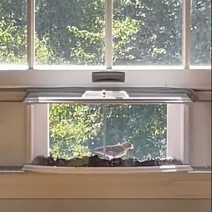 Amish Handmade Window Bird Feeder, In-house in Window 180 Degrees