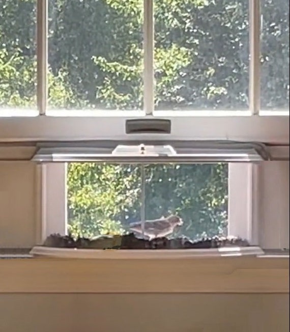 Put an old aquarium in the window, fill with bird seed, enjoy