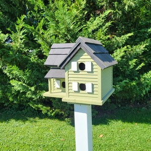 May include: A green and black birdhouse with two nesting compartments, each with a white trim and a round entrance hole. The birdhouse is mounted on a white post.