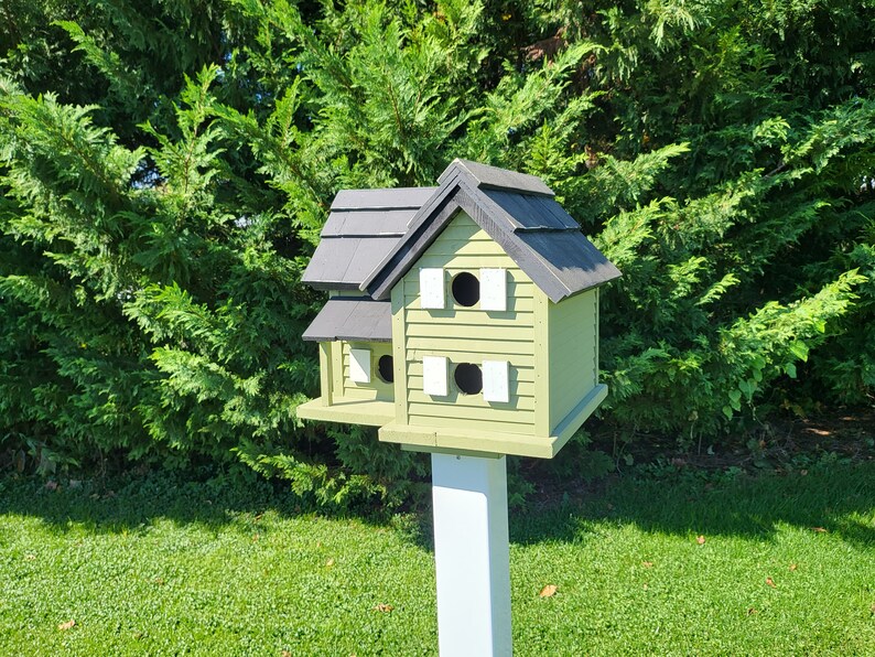 May include: A green and black birdhouse with two nesting compartments, each with a white trim and a round entrance hole. The birdhouse is mounted on a white post.