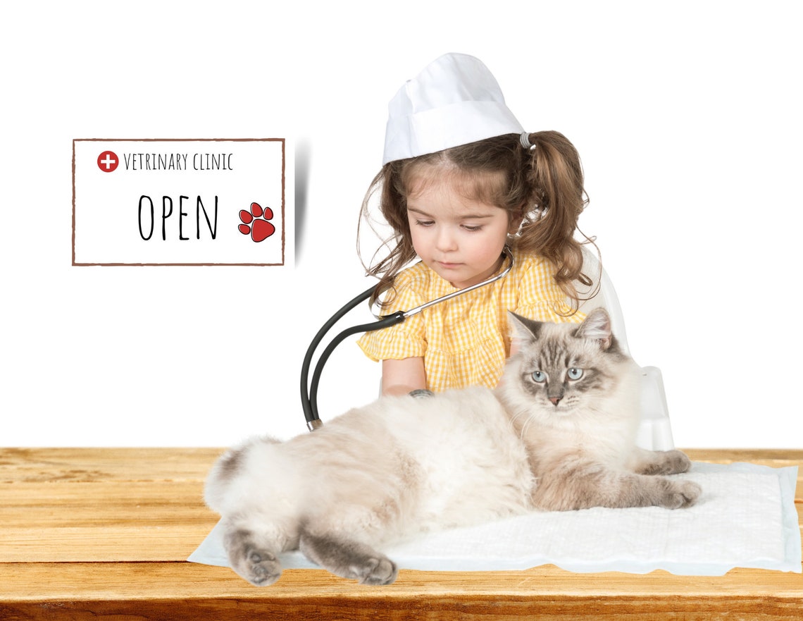 Vet Pretend Play Printable Veterinarian Play Pretend Doctor-dramatic