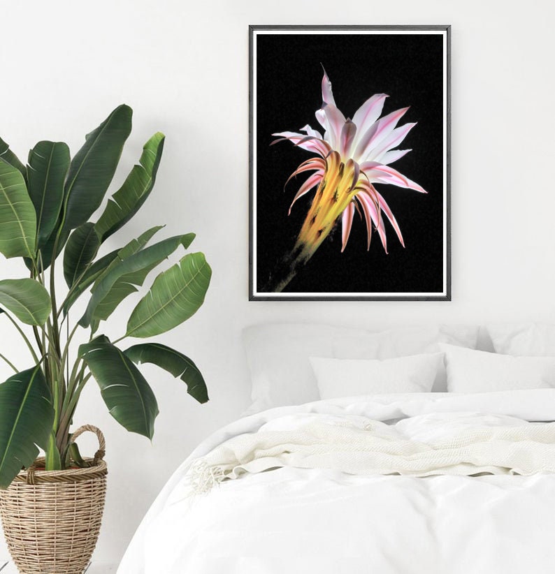 Cactus Flower Art Print,Boho Wall Decor,Cactus Decor,Botanical Wall Art Print,Desert Cactus Print,Printable Wall Art,Downloadable Print