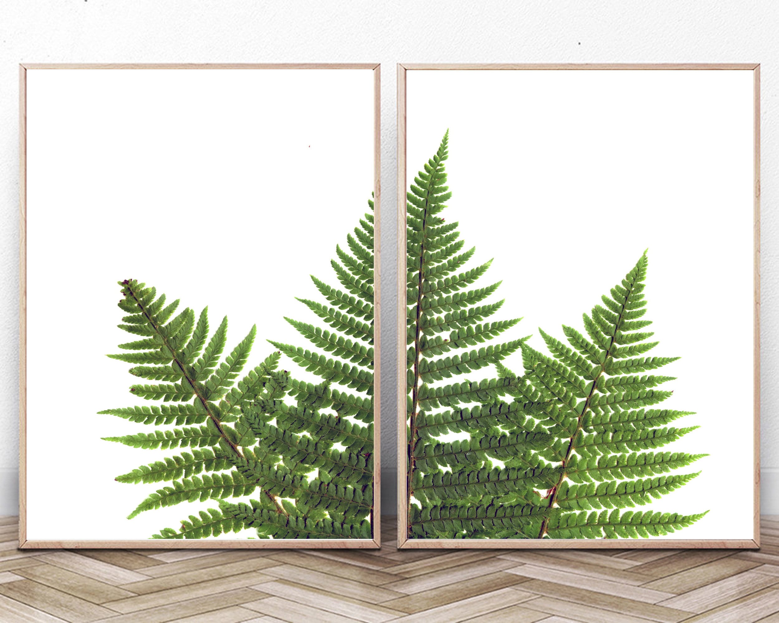Digital Download Instant Printable Wall Art Fern Leaf Botanical Print