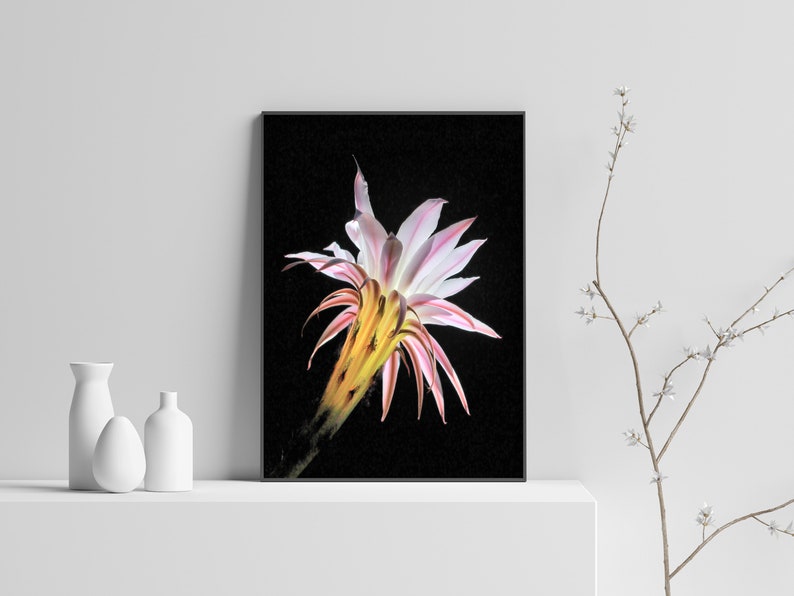 Cactus Flower Art Print,Boho Wall Decor,Cactus Decor,Botanical Wall Art Print,Desert Cactus Print,Printable Wall Art,Downloadable Print