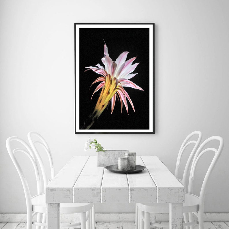 Cactus Flower Art Print,Boho Wall Decor,Cactus Decor,Botanical Wall Art Print,Desert Cactus Print,Printable Wall Art,Downloadable Print
