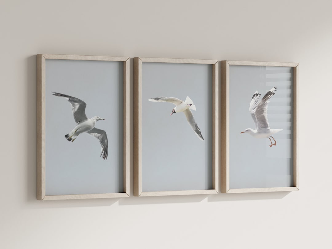Seagull Wall Art Set, Coastal Bird Prints, Minimalist Seagull Decor ...