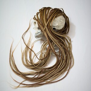 Può includere: Un teschio bianco con lunghe trecce marroni e bionde avvolte attorno ad esso. Le trecce sono sparse su uno sfondo bianco.