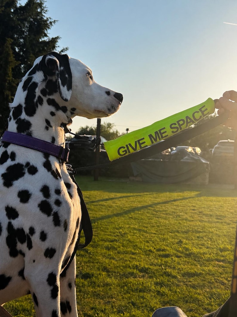 May include: A Dalmatian dog with black spots and a purple collar looks to the side. A neon green sign that says "GIVE ME SPACE" is held in the foreground. The background is a grassy field with trees and a bright sky.