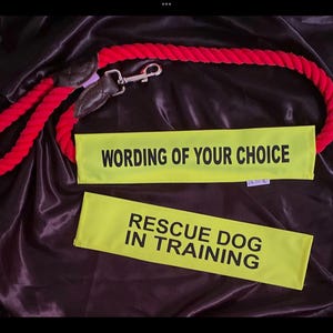 May include: A red rope dog leash with a black leather handle and a silver clasp. Two yellow fabric bands with black text that reads "WORDING OF YOUR CHOICE" and "RESCUE DOG IN TRAINING" are also included.