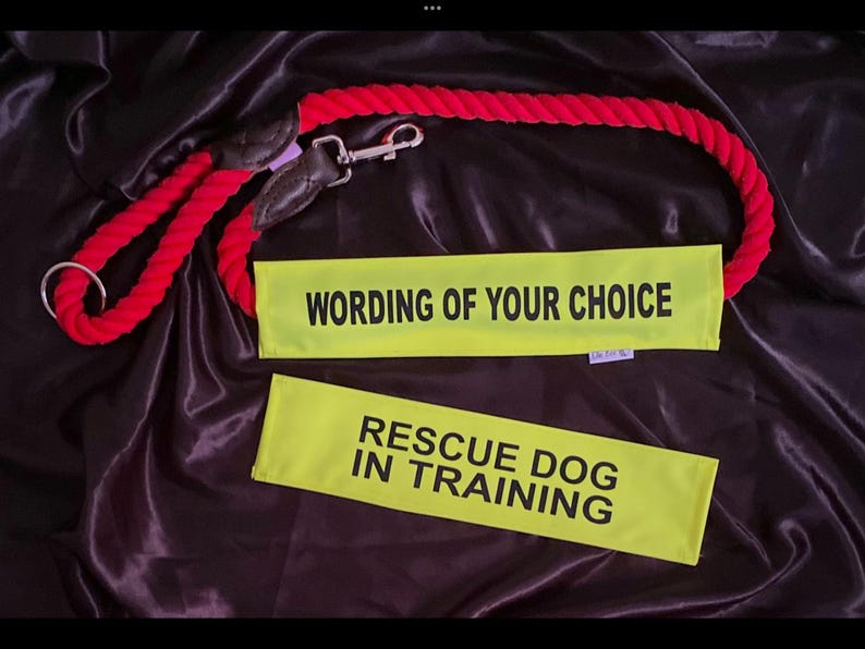 May include: A red rope dog leash with a black leather handle and a silver clasp. Two yellow fabric bands with black text that reads "WORDING OF YOUR CHOICE" and "RESCUE DOG IN TRAINING" are also included.