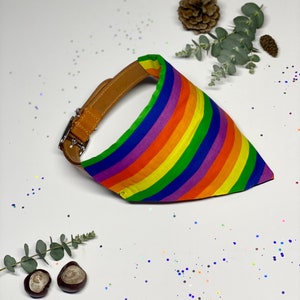 Pride Rainbow Dog Bandana LGBGT