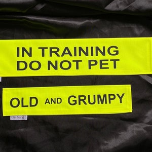 May include: Two neon yellow rectangular patches with black text. The larger patch reads "IN TRAINING DO NOT PET". The smaller patch reads "OLD AND GRUMPY". Both have a small tag that says "Elle Bee".