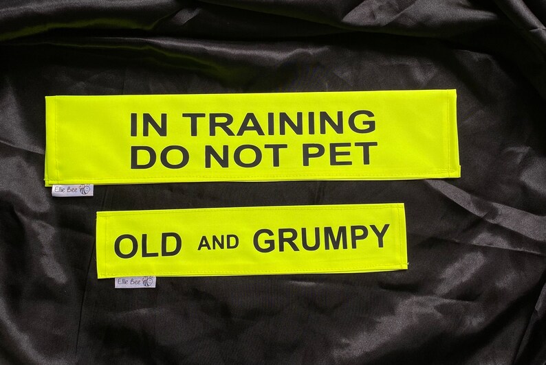 May include: Two neon yellow rectangular patches with black text. The larger patch reads "IN TRAINING DO NOT PET". The smaller patch reads "OLD AND GRUMPY". Both have a small tag that says "Elle Bee".