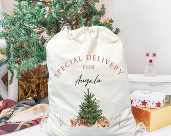 Custom Santa Sack, Personalized Santa Sack Gift, Special Delivery Santa Sack, Christmas Party Gift, Xmas Gift Bags, Christmas Present Sack