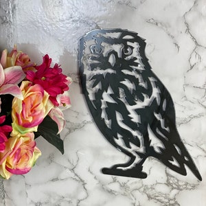 Little Owl Tawny Owl Barn Owl Wildlife Brushed Steel Home Wall Art Interior Design Metal Art Present Gift Ideas