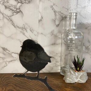 Robin Little Bird Wildlife Brushed Steel Home Interior Design Present Gift Idea