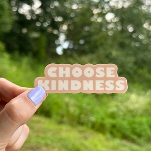 Choose Kindness Vinyl Sticker | Waterproof & Weatherproof | Laptop Decal | Water Bottle Sticker | Self Love Sticker | Happy Stickers