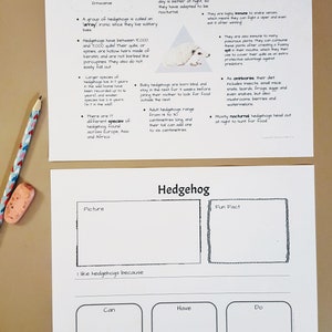 Unit Study Hedgehog Anatomy and Facts - Lesson Plans, Homeschool ...