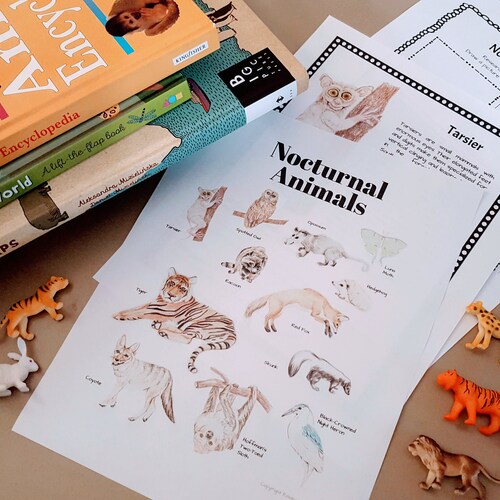 Nocturnal Animals Unit Study Lesson Plans Homeschool - Etsy Nocturnal Animals Unit Study Lesson Plans Homeschool - Etsy
