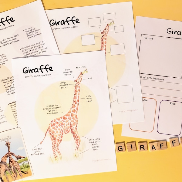 Giraffe Study for Co-op or Homeschool | Anatomy, Fun Facts, Books & Videos, and Worksheet | Digital Download | Grades K-5