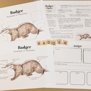 Estudio de la unidad de anatomía y datos de Badger: planes de lecciones, educación en casa, cuadernos, para niños de primaria