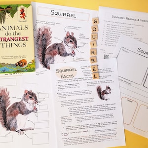 Könnte beinhalten: Ein ausdruckbares Arbeitsblatt zum Lernen über Eichhörnchen. Das Arbeitsblatt enthält ein Diagramm eines Eichhörnchens mit Beschriftungen für die verschiedenen Körperteile, eine Liste von Eichhörnchen-Fakten und einen Abschnitt, in dem die Schüler ihre eigenen Beobachtungen über Eichhörnchen aufschreiben können. Das Arbeitsblatt trägt den Titel "Squirrel Facts" und ist Teil eines größeren Sets von Lehrmaterialien über Tiere.