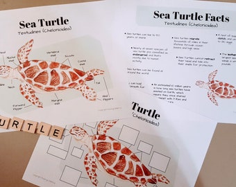 Sea Turtle Anatomy Lesson Plan, Homeschool Study (Digital File)