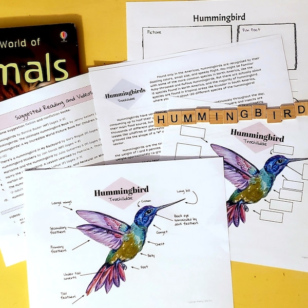 Hummingbird Study Lesson Plan | Anatomy Chart, Labels, & Worksheet for Homeschool or Co-op | All ages