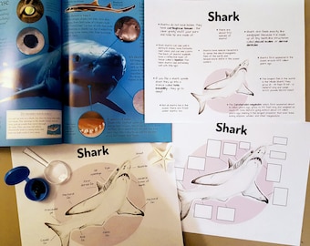 May include: A colorful educational book about sharks with illustrations and text about their anatomy, senses, and habitat. The book includes a diagram of a shark's body parts and a close-up of shark teeth.