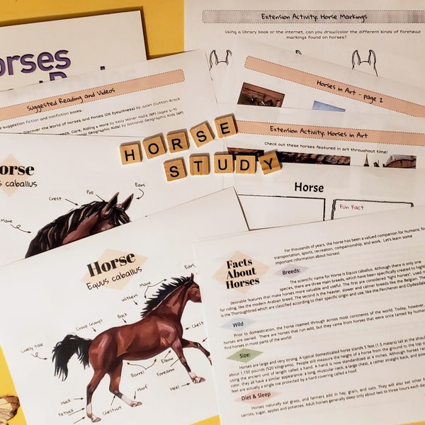 Unit Study on Horse Anatomy and Fun Facts | Grades 1-5 | Science Nature Study Lesson plans, homeschool, Co-ops, notebooking