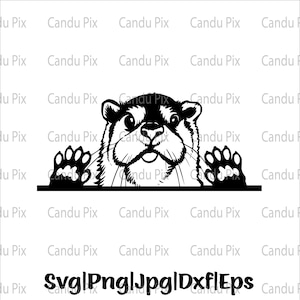 Nutria mirando svg, nutria sonriente svg, nutria linda svg, png eps jpg dxf, archivos svg para cricut, licencia comercial