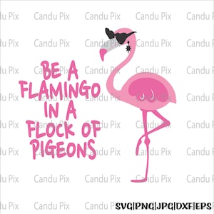 Be A Flamingo In A Flock Of Pigeons Svg, Beach Svg, Be A Flamingo Png, Beach Png,  Cricut, Be A Flamingo In A Flock Of Pigeons Cut File