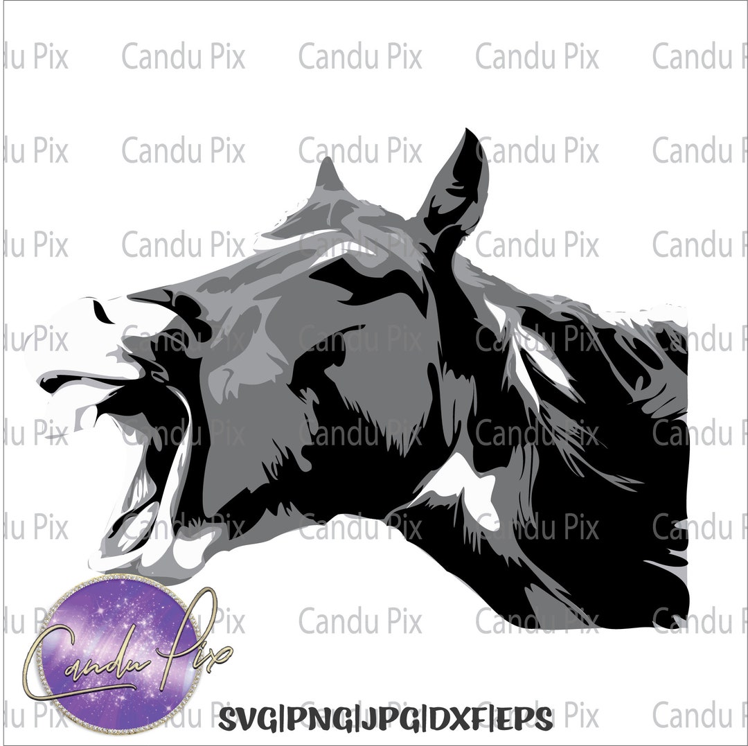 Stubborn Mule Svg Laughing Mule Svg Stubborn Mule Png - Etsy