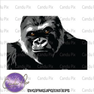Gorilla Svg, Great Ape Svg, Gorilla Png, Great Ape Png, Gorilla Eps, Great Ape Eps, Gorilla Dxf, Great Ape Dxf, Sublimation Designs