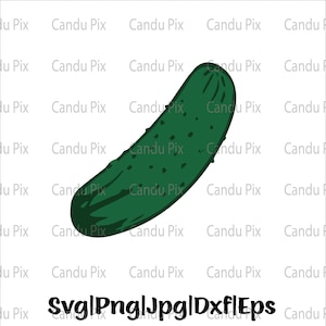 May include: A green cucumber with a slightly curved shape. The cucumber has a bumpy texture and is isolated on a white background.