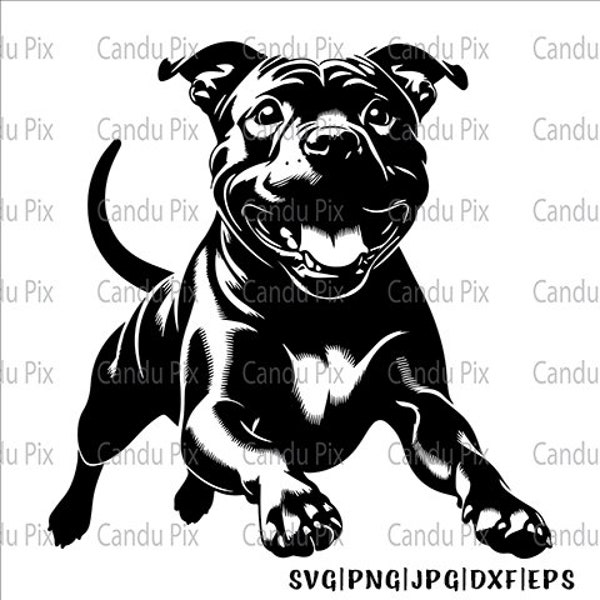 American Staffordshire Svg, American Staffordshire Png, American Staffordshire Dxf, fichier coupé 1 couche, gobelet pour chien, Silhouette