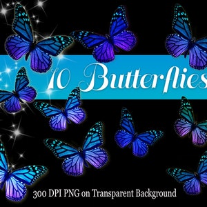 Farfalle PNG, farfalle blu metallizzate, farfalle png verdi e viola