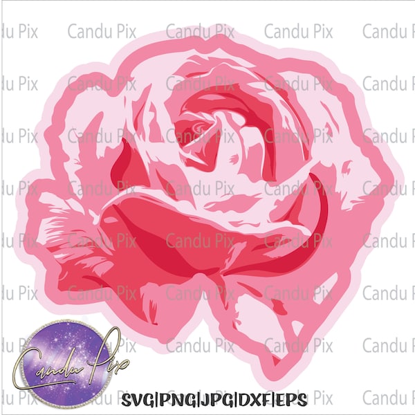 Pink Rose Svg, Flower Svg, Pink Rose Png, Flower Png, Pink Rose Eps, Flower Eps, Pink Rose Dxf, Flower Dxf, Cut By Color, Cricut Cut File